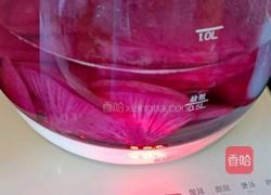 凤梨萝卜糖水的做法图解7