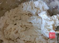圆白菜鸡蛋粉条素馅包子的做法图解2