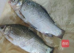 红烧鲫鱼的做法图解2