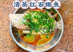 清蒸红石斑鱼