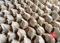 黄茎菜饺子的做法图解7