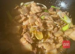猪肉白菜炖粉条(家常版)的做法图解6