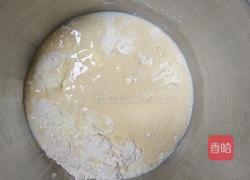鲜奶提子吐司(2个450g吐司)牛奶液种的做法图解4