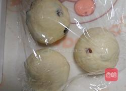 鲜奶提子吐司(2个450g吐司)牛奶液种的做法图解12