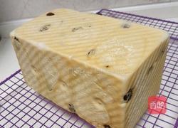 鲜奶提子吐司(2个450g吐司)牛奶液种的做法图解21