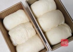 巴斯克吐司（2个450g)的做法图解15