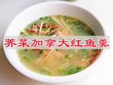 芥菜加拿大红鱼
