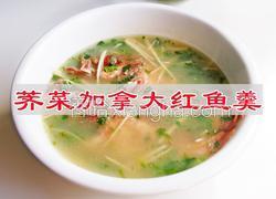 芥菜加拿大红鱼