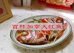 百秒加拿大红鱼