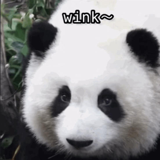 mimimi[图]